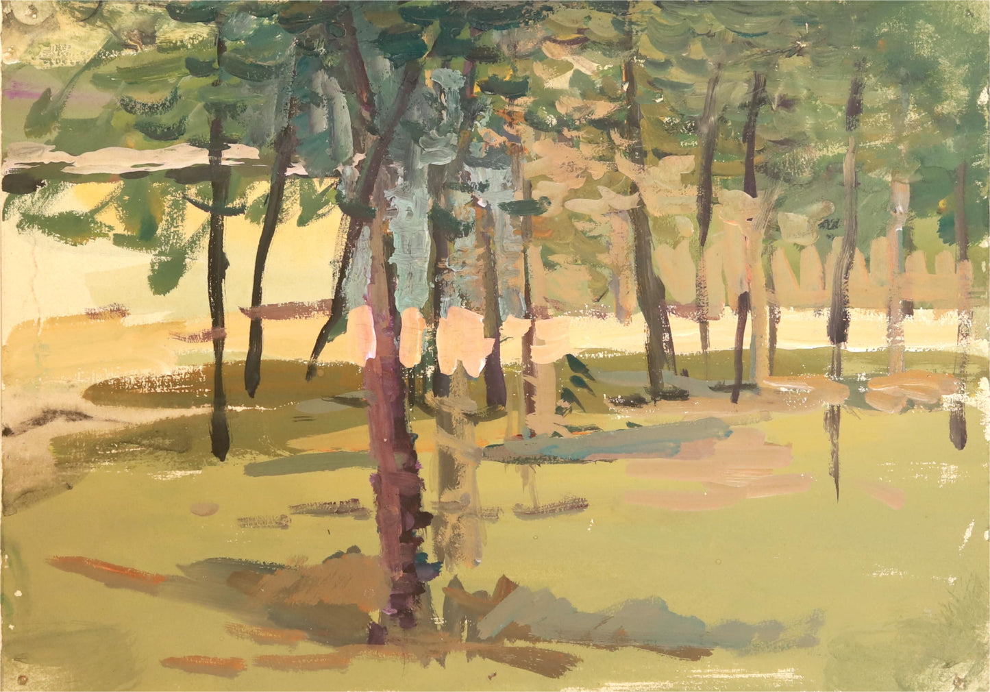 Sunlit Canopy