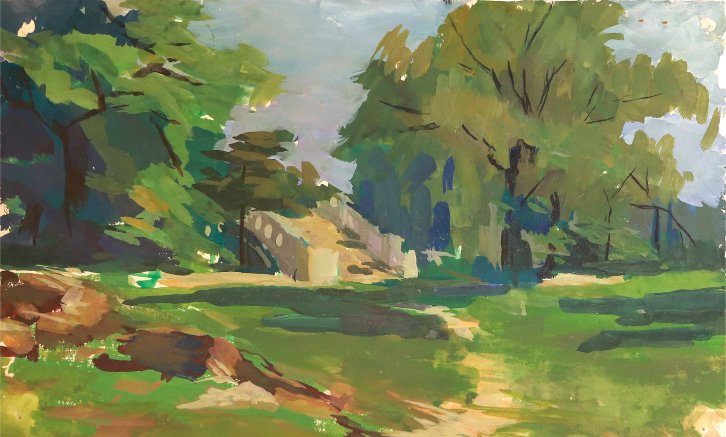 Morning Light in the Forest