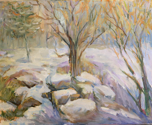 ‌Winter Warmth on Snowy Branches‌