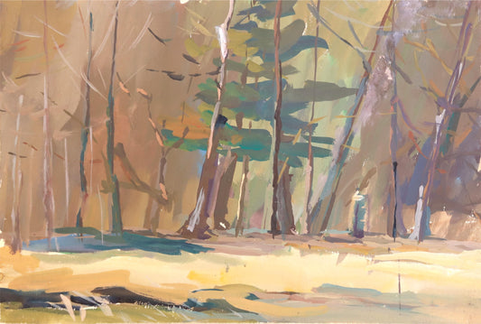 Autumn Forest Sunlight