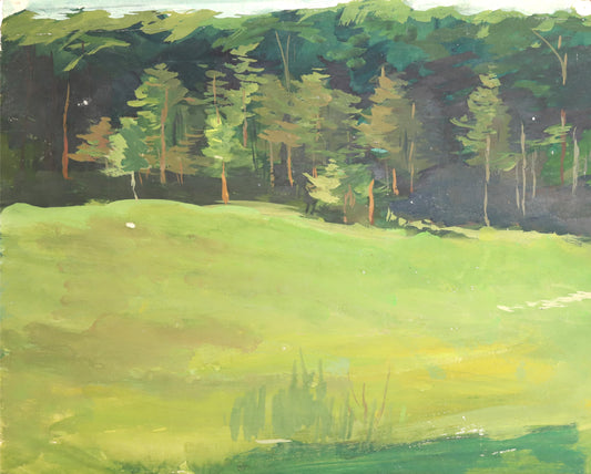 Forest Sanctuary