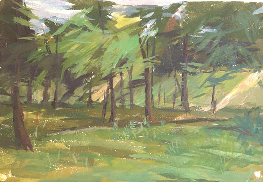 Morning Light in the Woods