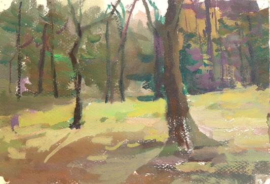 Forest Illusion