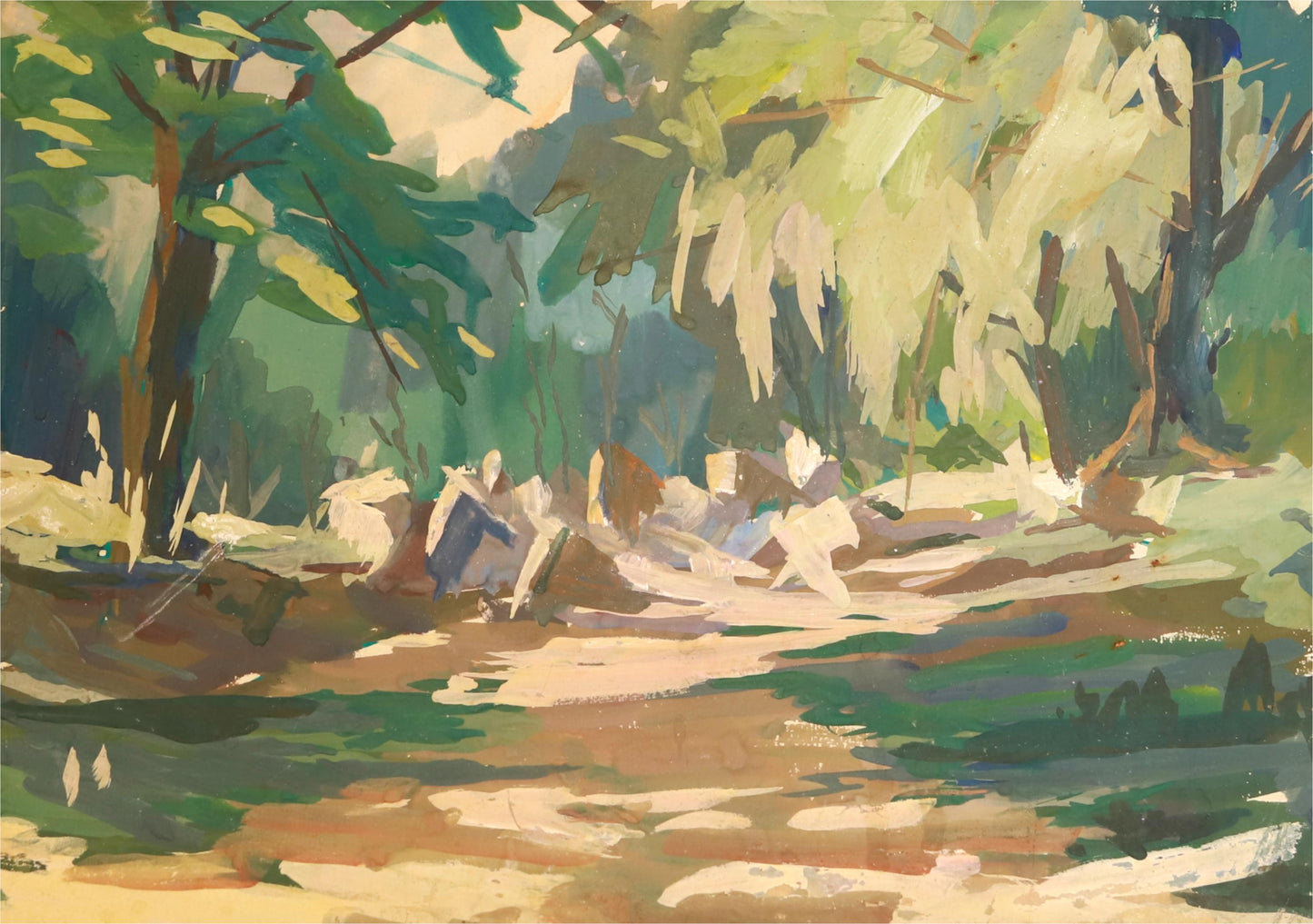 Morning Light in the Forest