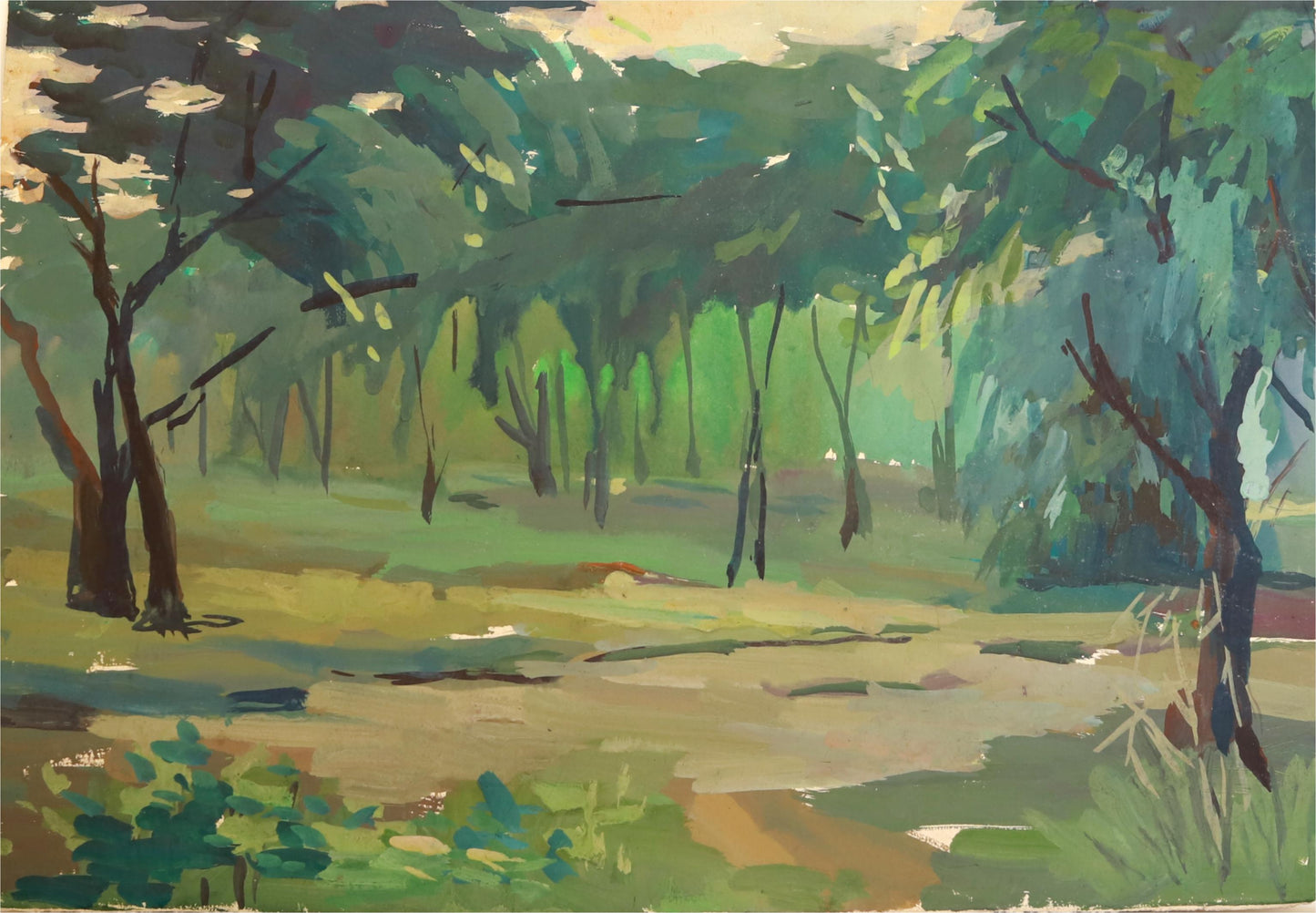 Morning Light in the Forest