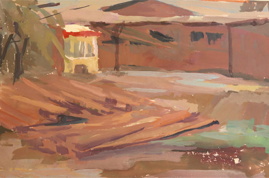 Morning Light in the Forest