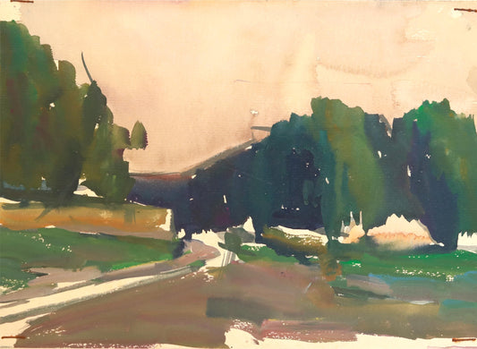 Morning Light in the Forest